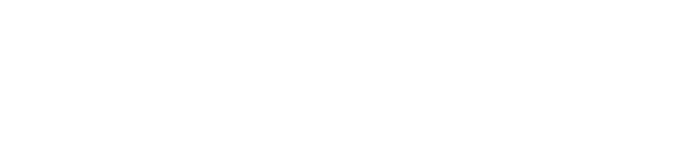 VT logo po wit
