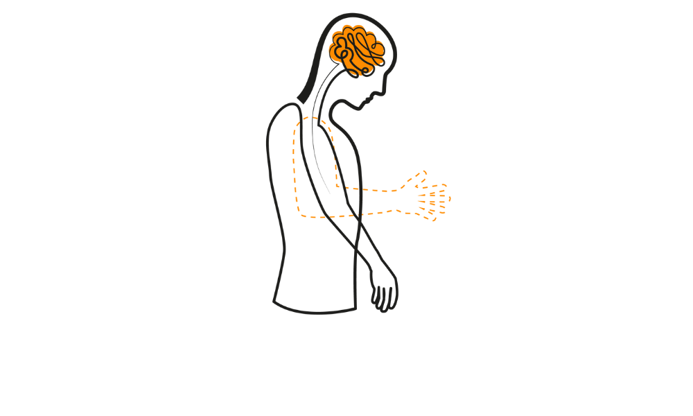 Symptomen en diagnose 1
